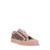 Obrázok z Star Master Leopard/Rose