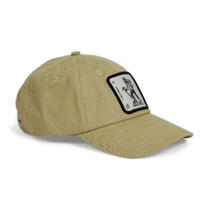 Obrázok z Heritage Dad Cap Natural Stone